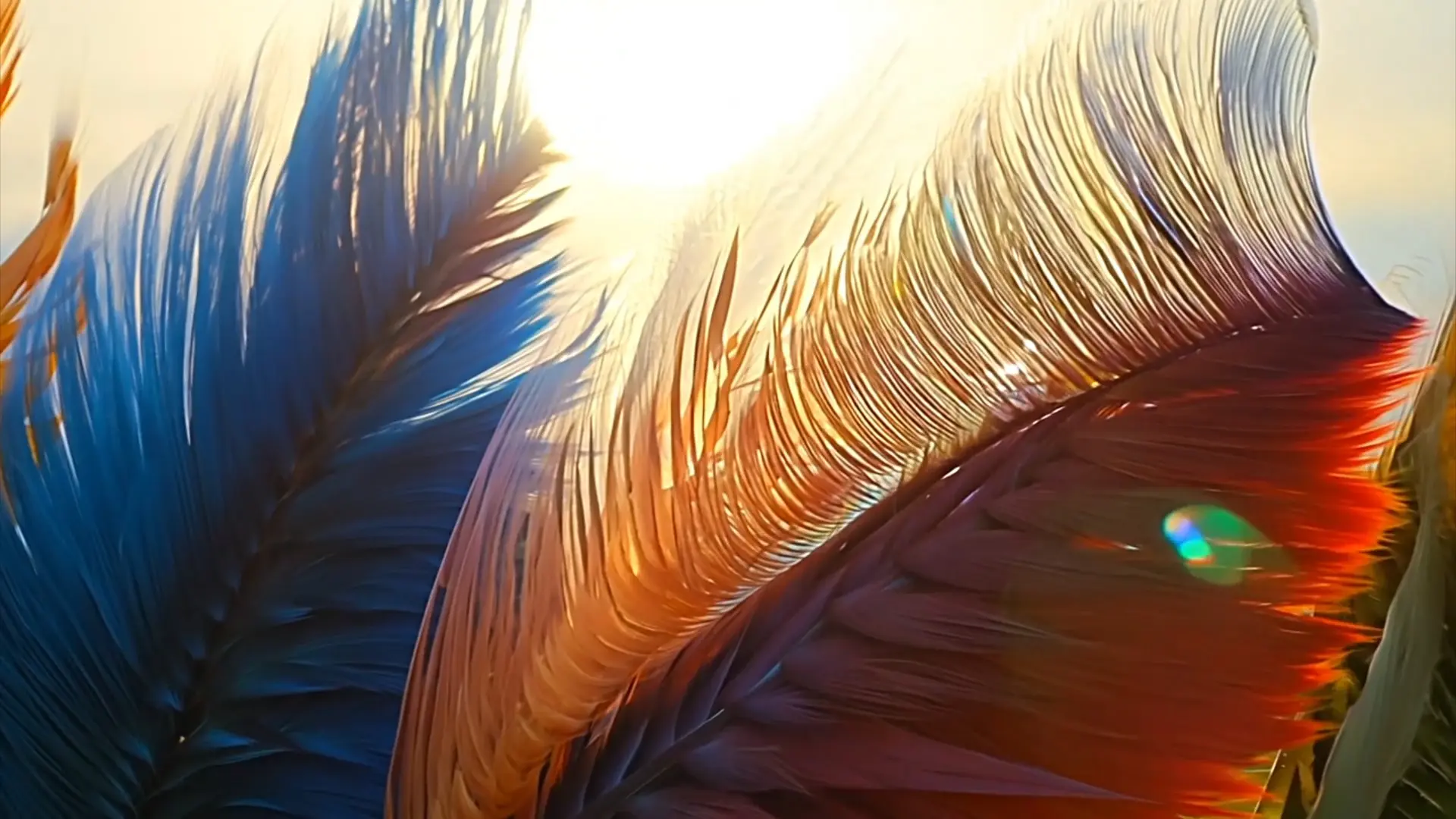 Vivid Feather Dynamics Colorful Background for High-Impact Videos